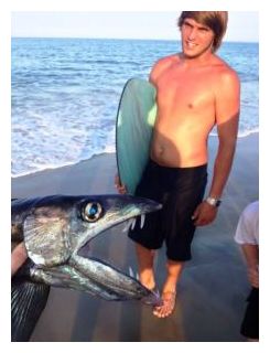 Lancetfish_1