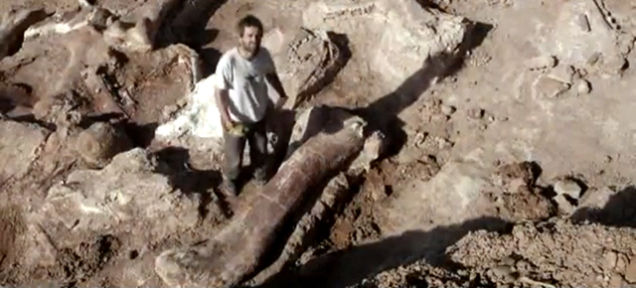 dino bone