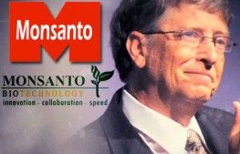 Bill Gates_Monsanto
