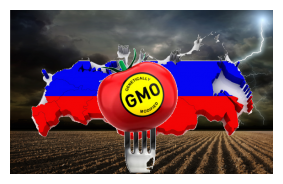 GMO