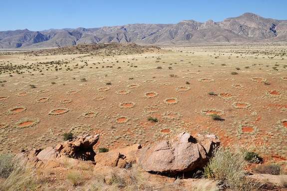 Click to enlarge Fairy Circles