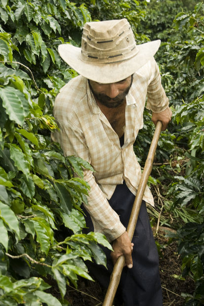 Click to enlarge coffee farmer