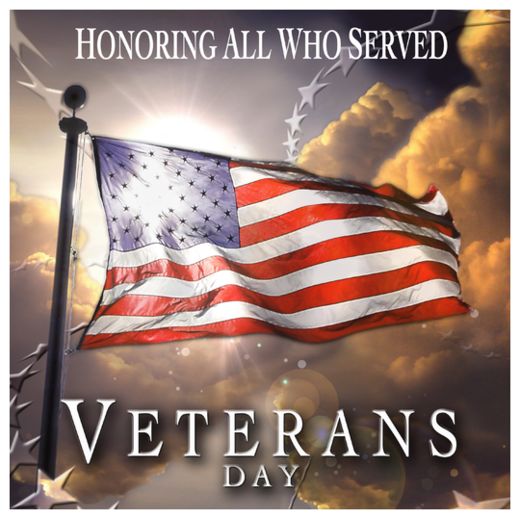 Veterans Day Flag