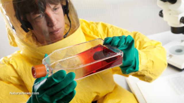 Scientific virus experiments risk decimating mankind