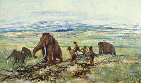Click to enlarge Image