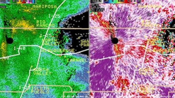 Grasshopper Swarm
