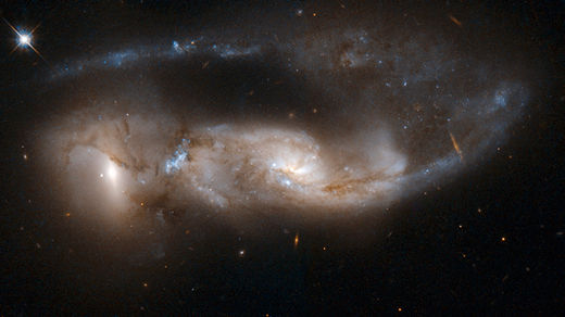 Click to enlarge Draco