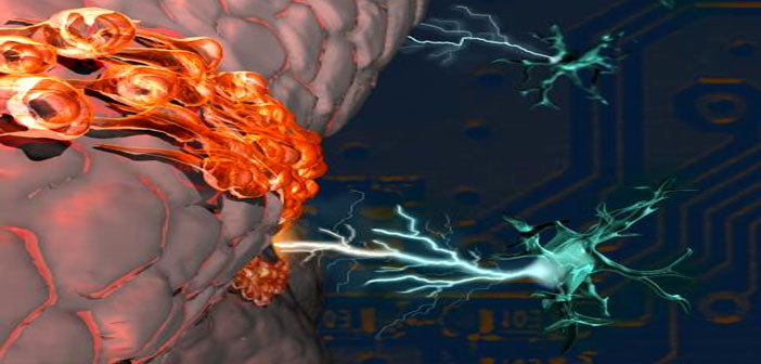 brain repair circuit
