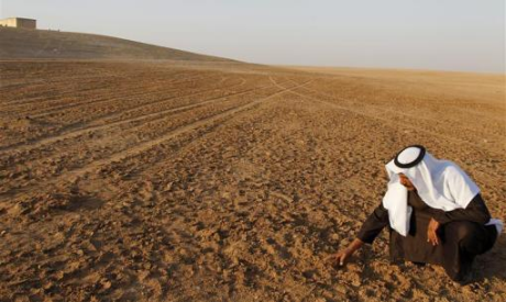 Syrian, dirt field