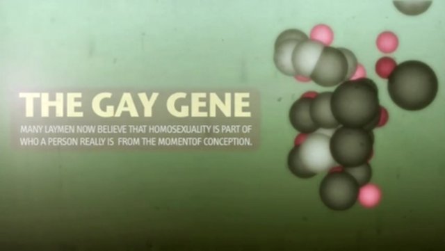 Click to enlarge gay gene