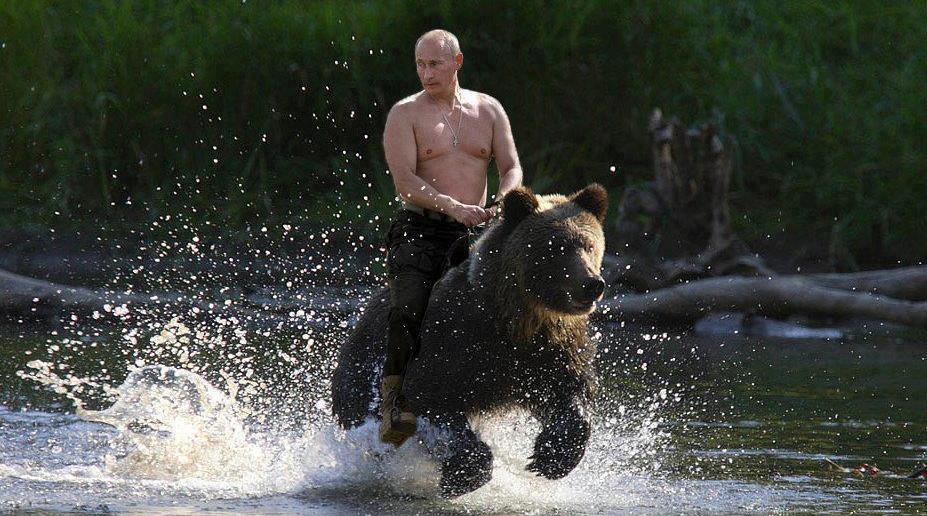 putinbear