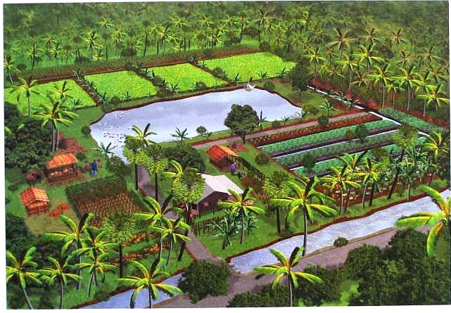 Organic farming in Thailand