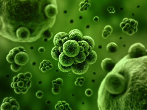 superbug