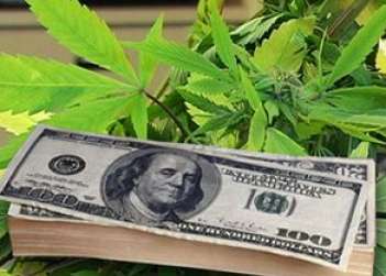marijuana drug money