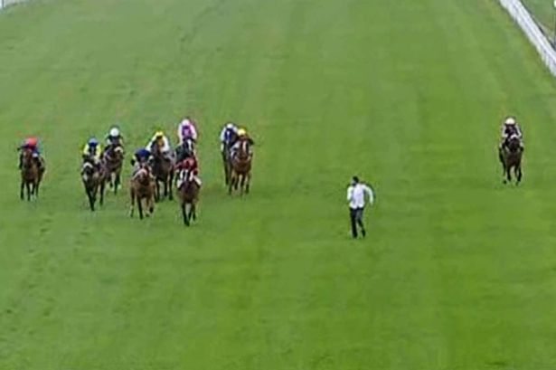 Man vs Horses