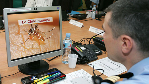 chikungunya virus