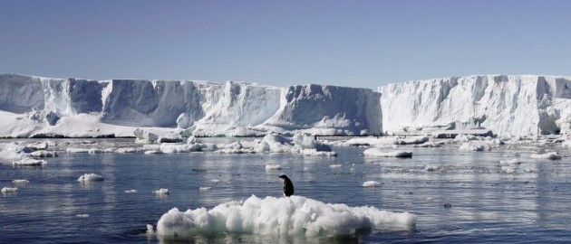 Melting Antarctic