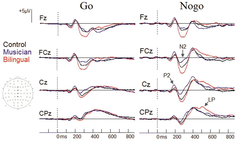 Click to enlarge brain waves music