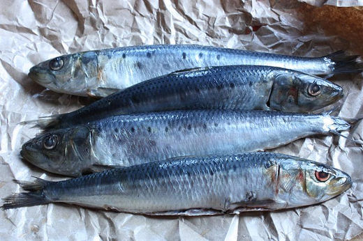 Click to enlarge fish