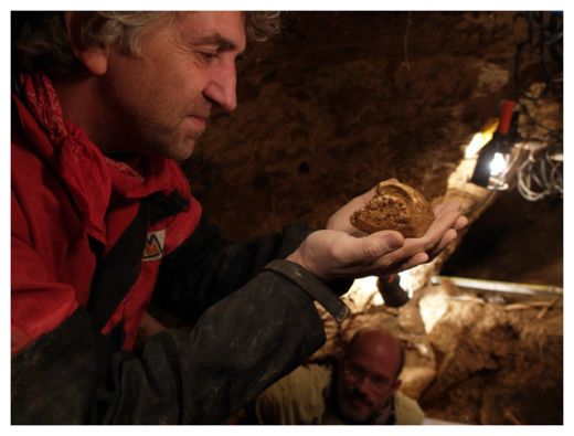 Click to enlarge Hominin skull_1