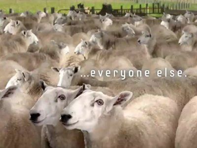 Click to enlarge sheep