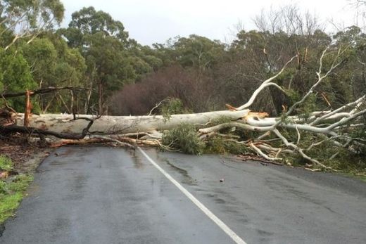 Southern Australia wild weather