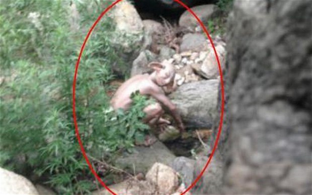 human-like 'monster'