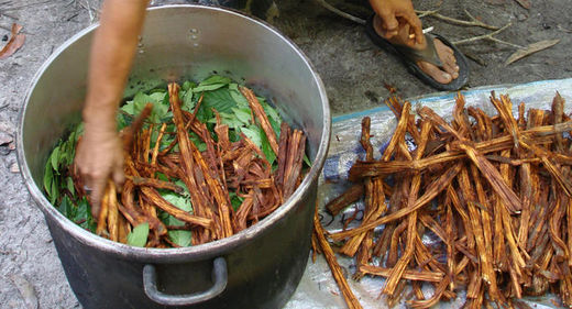 Click to enlarge ayahuasca
