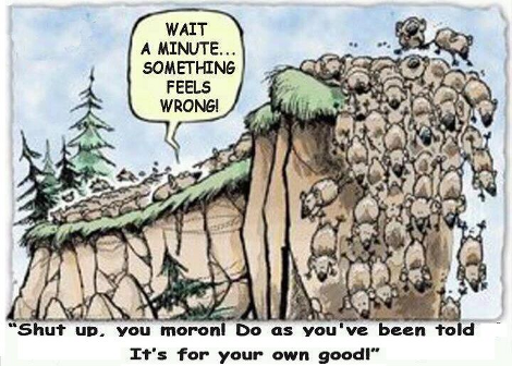 Herd Mentality