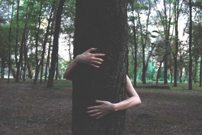 tree hugging