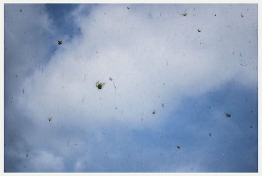 raining hay gloucestershire