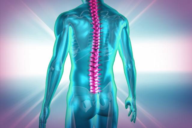 Click to enlarge light controls muscles