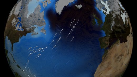 thermohaline circulation