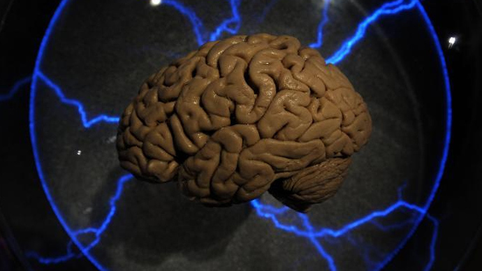 computer brain