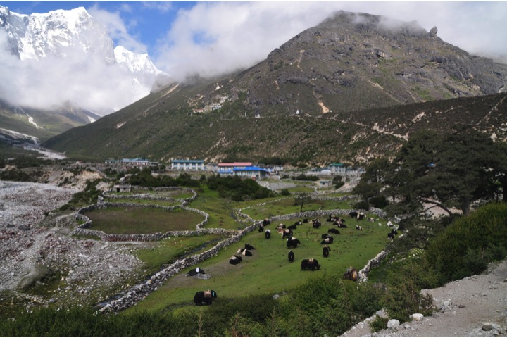 Click to enlarge Thame village Nepal
