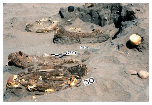 Click to enlarge Ancient Mummies