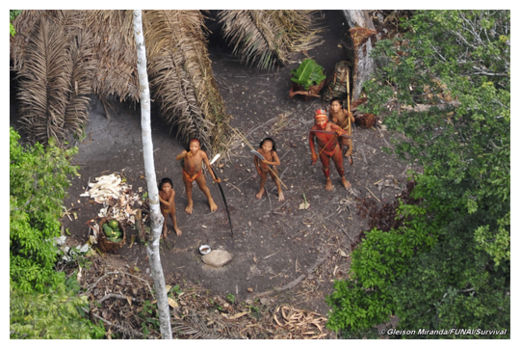 Uncontacted Tribe