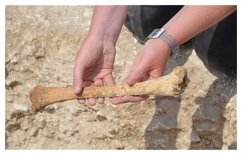 Click to enlarge Archaelogical dig_1
