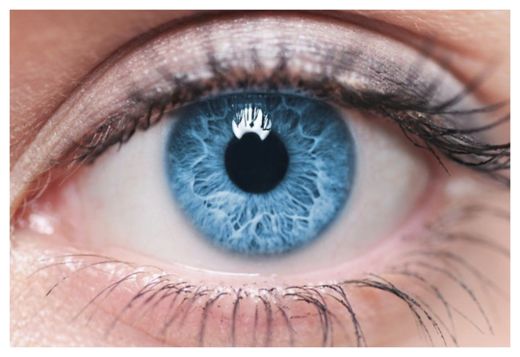 Eye