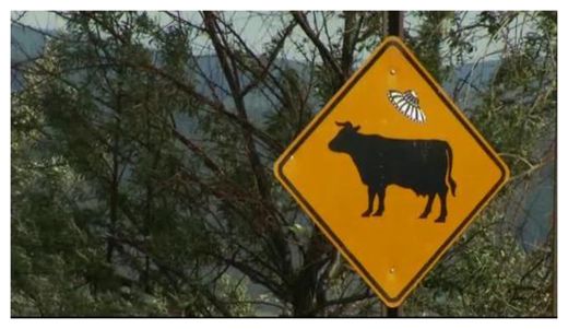 Cattle Crossing Sign