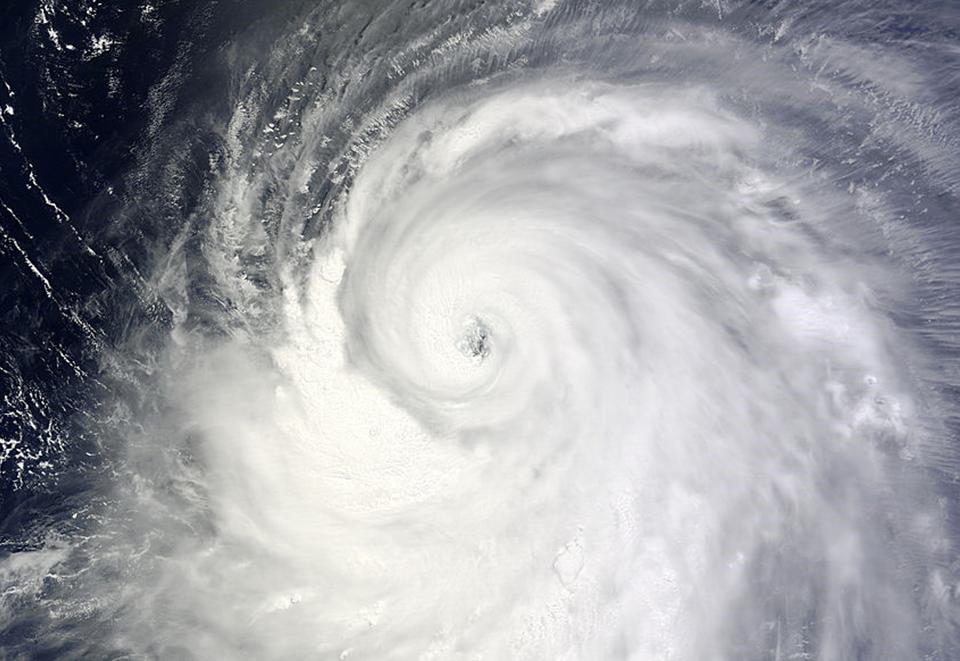 Typhoon Neoguri