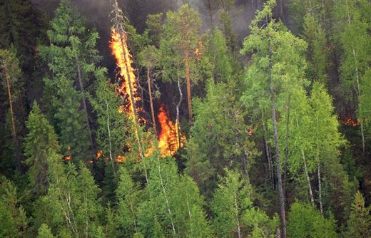 Forest fires in Siberia