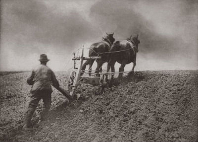 Click to enlarge man, horses, plow