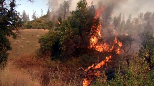 California wildfire 