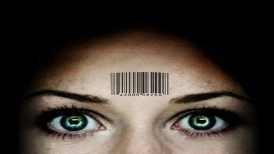 RFID Chips
