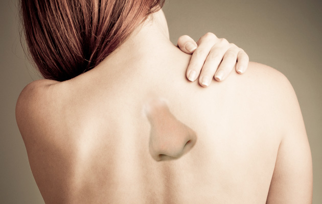 noseback