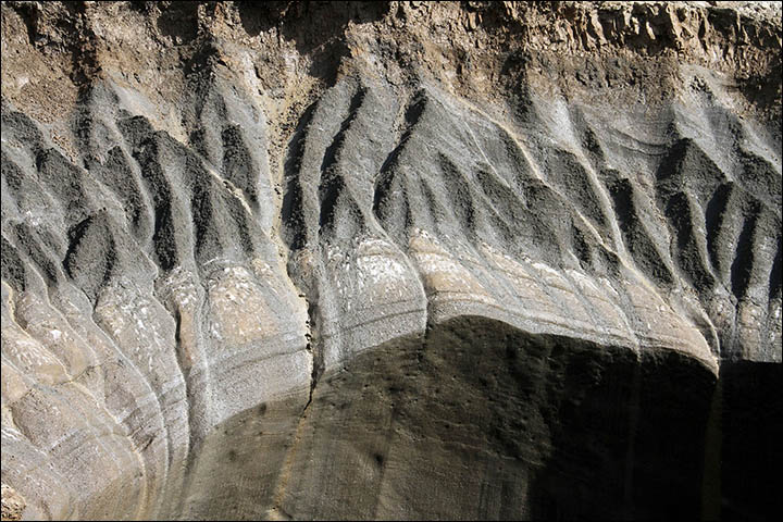 Click to enlarge Image