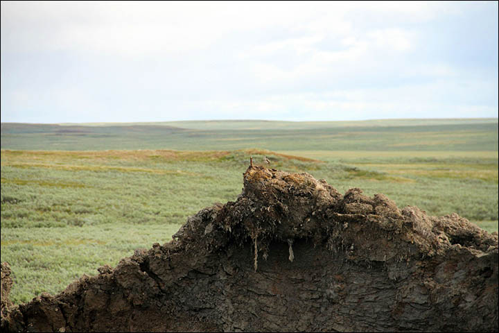 Click to enlarge Image