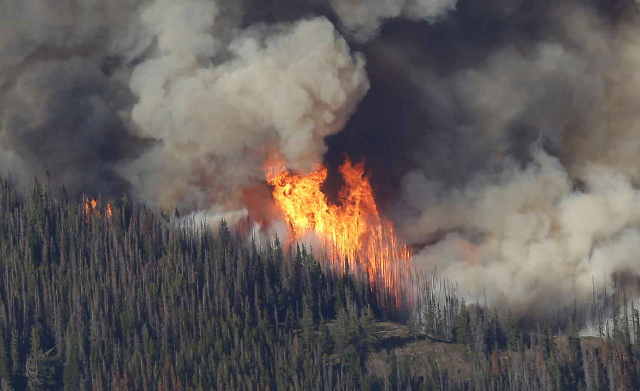 carlton wildfires