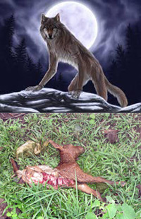 Werewolf